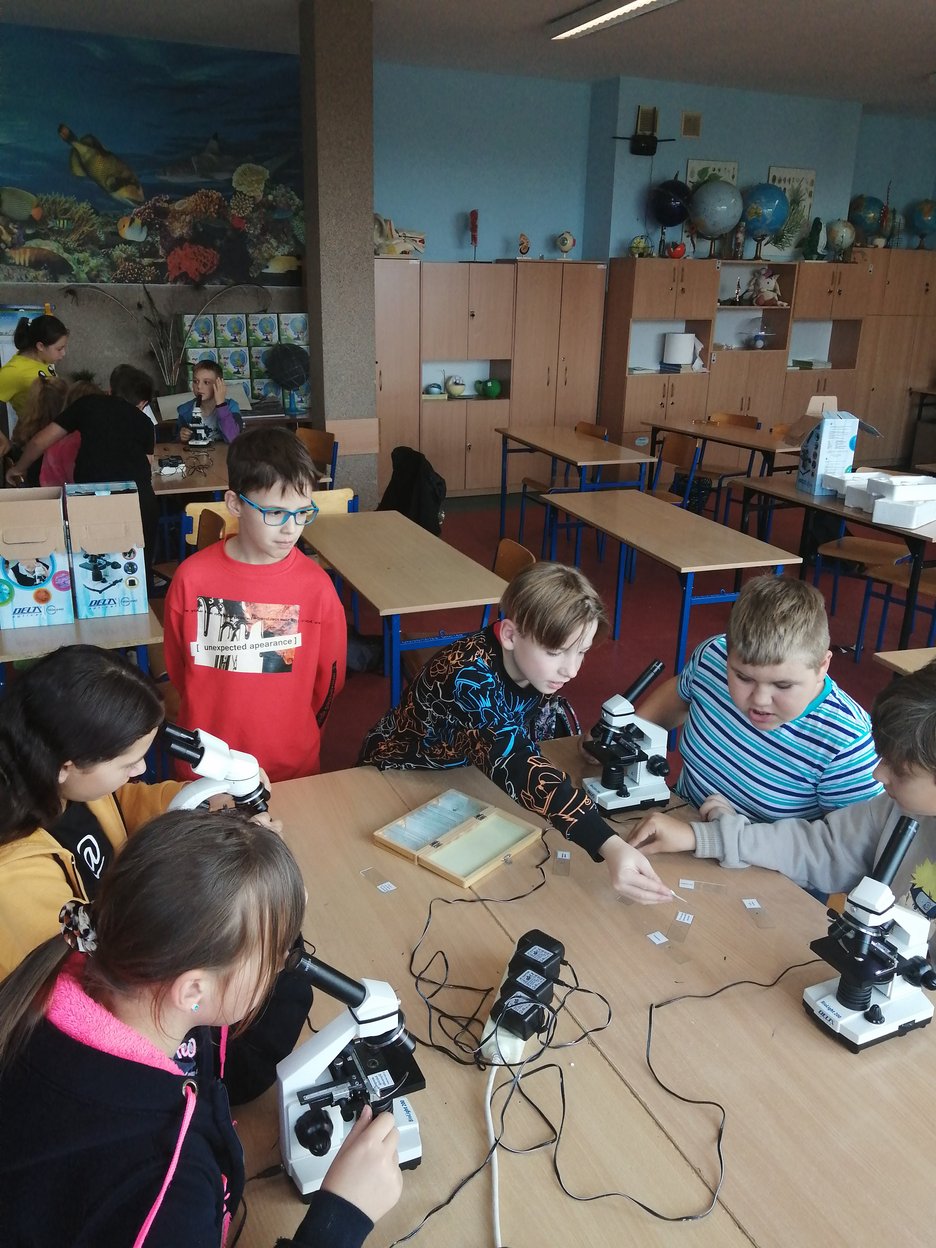 zdj_aktualnosci/2178_23241.jpg