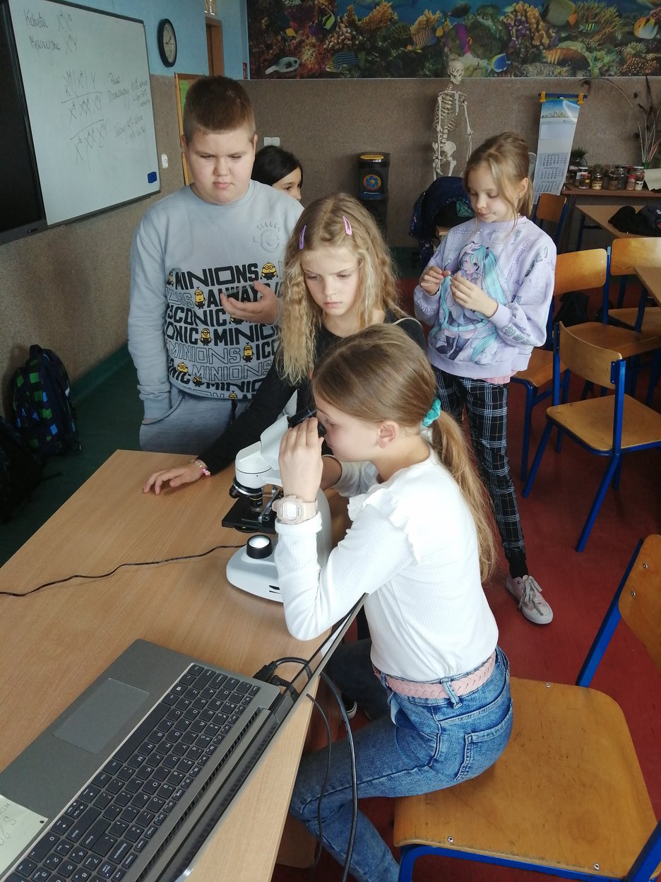 zdj_aktualnosci/2178_23244.jpg