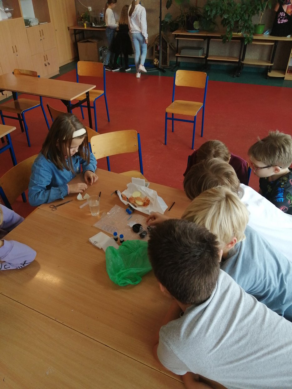 zdj_aktualnosci/2178_23246.jpg